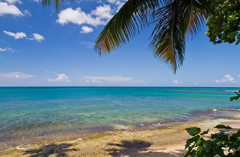Tres Palmas Inn And Villas Rincon Aparthotel