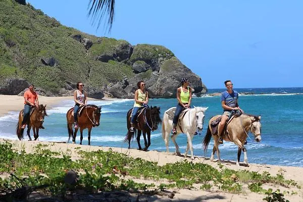 Tres Palmas Inn And Villas Rincon